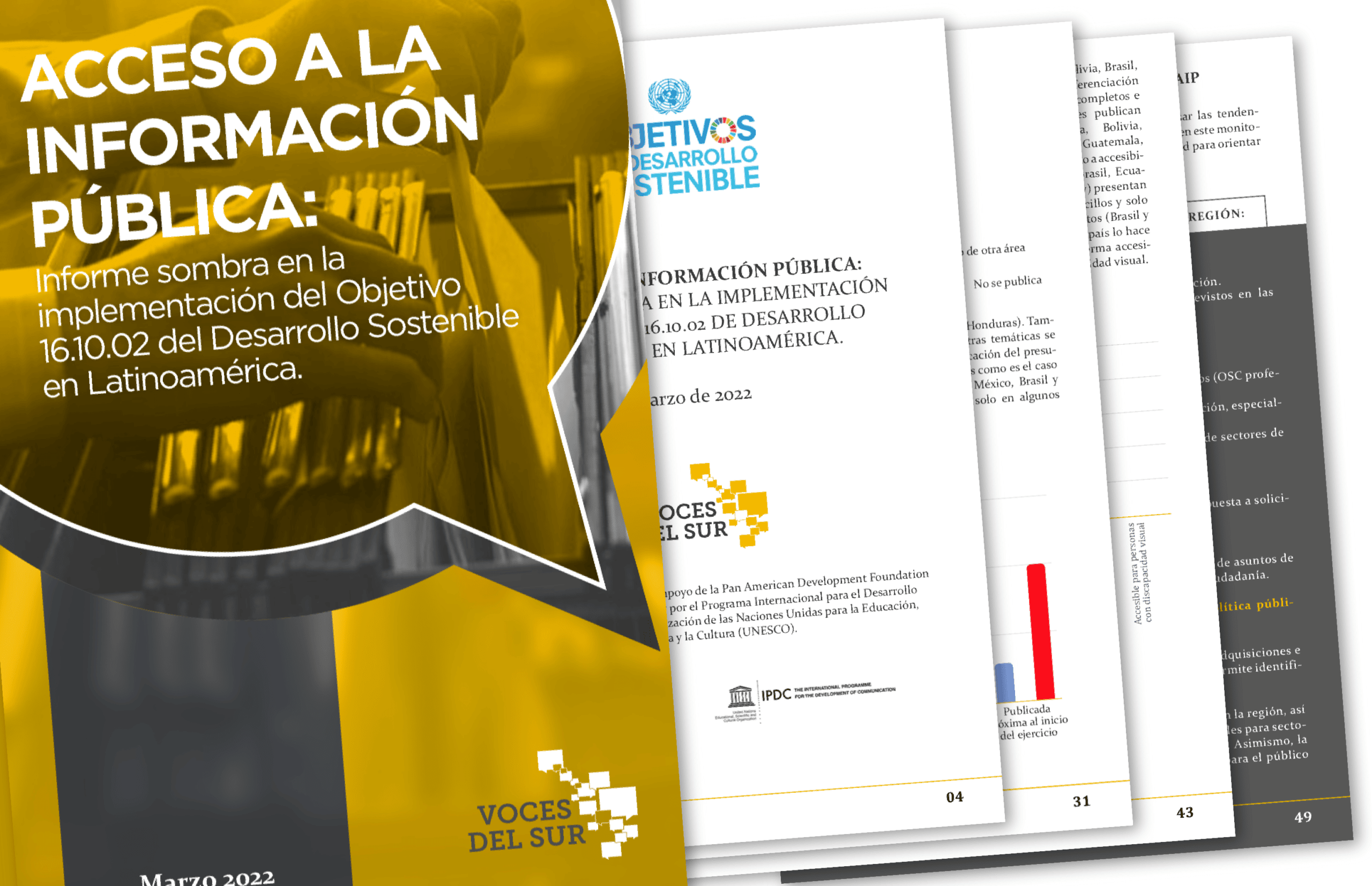 Informe Sombra Acceso a la Información